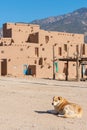 Ancient Taos Pueblo Royalty Free Stock Photo