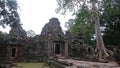 Ancient temple complex in the cambodian jungle, Massive tree on the Right side. Royalty Free Stock Photo