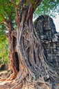 Ancient temple entrance and old tree roots at Angkor Wat Royalty Free Stock Photo