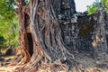 Ancient temple entrance and old tree roots at Angkor Wat Royalty Free Stock Photo