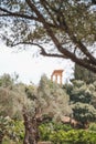 ancient temple ruins in Sicily, Italy in Agrigento Royalty Free Stock Photo