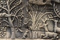 Ancient temple stone carved bas-relief in Angkor Wat. Tree and deer bas-relief closeup. Angkor Wat complex Bayon temple Royalty Free Stock Photo
