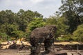 Ancient temple stone monument of Roluos temples, Cambodia. Elephant statue on top of Bacong temple. Royalty Free Stock Photo