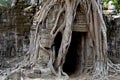 Ancient temple view near Angkor Wat, Siem Reap, Cambodia. Tree roots around temple ruin. Royalty Free Stock Photo