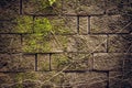 Ancient textured stone wall with moss and roots as ancient background