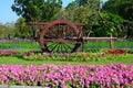 Ancient Thai carts on grass flower tree background Royalty Free Stock Photo