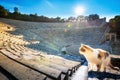 The ancient theater of Epidaurus or `Epidavros`, Argolida prefecture, Greece. Royalty Free Stock Photo