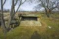 Ancient Thracian dolmen Nachevi Chairi, Hlyabovo, Bulgaria