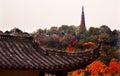 Ancient Tiled Roof Baochu Pagoda West Lake Hangzhou Zhejiang Chi