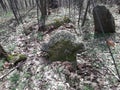 Ancient tombstone with cross in forest