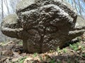 Ancient tombstone with cross in forest