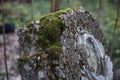 Ancient tombstone or grave overgrown with moss on abandoned and forgotten cemetery