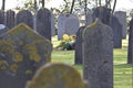 Ancient tombstones at Nes Cemetery, Ameland, Holland