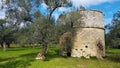Ancient tower in italian countryside, Salento Royalty Free Stock Photo