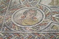 Ancient town Volubilis floor mosaic Royalty Free Stock Photo