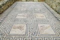 Ancient town Volubilis floor mosaic Royalty Free Stock Photo