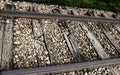 Ancient tracks of a railway where the steam train passed with br