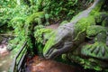 Ancient traditional balinese statue lizard. Ubud