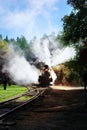 An ancient train moves along the rails releasing smoke in the sun in the forest