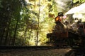 An ancient train moves along the rails releasing smoke in the sun in the forest