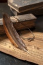 Ancient Treatise with bird feather Royalty Free Stock Photo