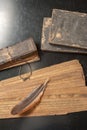 Ancient Treatise with bird feather Royalty Free Stock Photo