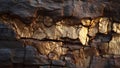 Ancient Tree Bark Texture Macro in Golden Hour (ai generated) Royalty Free Stock Photo