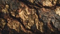 Ancient Tree Bark Texture Macro in Golden Hour (ai generated) Royalty Free Stock Photo