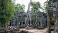 Ancient tree hugging a building from Ta Prohm temple at Angkor Archaeological Park of Sie