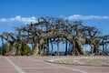 Ancient tree replica on a square against blue sky