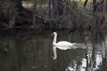 New Orleans City Park