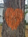 Ancient tree trunk with heart by the streets in Germany Royalty Free Stock Photo