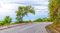 Ancient trees roadside Hai Van Pass