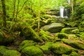 Ancient tropical ravine with waterfall on summer morning Royalty Free Stock Photo