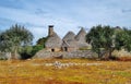 Trulli and olive trees in Puglia, Italy