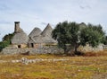 Trulli with olive tree in Puglia, Italy