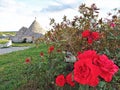 Ancient Trulli, traditional very old houses with red roses and other aromatic plants