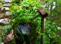 An ancient tsukubai stone water basin Royalty Free Stock Photo