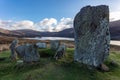 Ancient Uragh Stone Circle (Ciorcal Cloch Uragh) with a beautiful landscape in the background