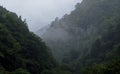 Ancient valley fading into mist