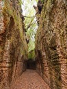 Via Cava, an ancient Etruscan road carved through tufo cliffs in Tuscany Royalty Free Stock Photo