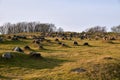 Ancient Viking graveyard of Lindholm Hoje