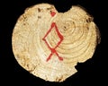 Ancient Viking Rune on Tree Wood Royalty Free Stock Photo