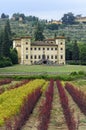 Ancient villa near Pistoia (Tuscany)