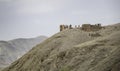 An ancient village, and castle on hills, in the Moroccan mountains Royalty Free Stock Photo