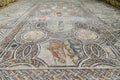 Ancient Volubilis town mosaic on the floor