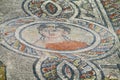 Ancient Volubilis town mosaic on the floor