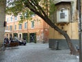 Ancient votiv niche behind a sideway tree in the historical center of Rome in Italy.