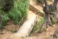 Ancient walkway to the gardens of Valley of Temples, Agrigento, Sicily, Italy Royalty Free Stock Photo