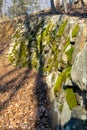 An ancient wall made of moss-covered stones alongside a small forest path Royalty Free Stock Photo